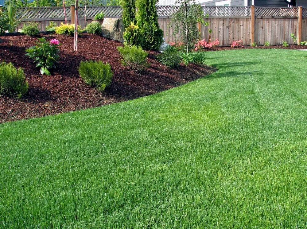Local residential landscaping experts serving Villa Park, IL - Son and Snow