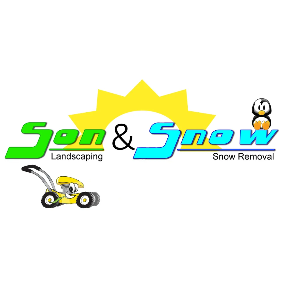 Trusted yard maintenance in Villa Park, IL by Son and Snow
