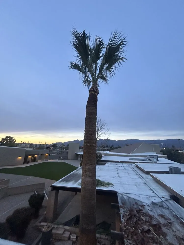 Trusted landscaping services experts serving Tucson, AZ - Son Dove Landscaping