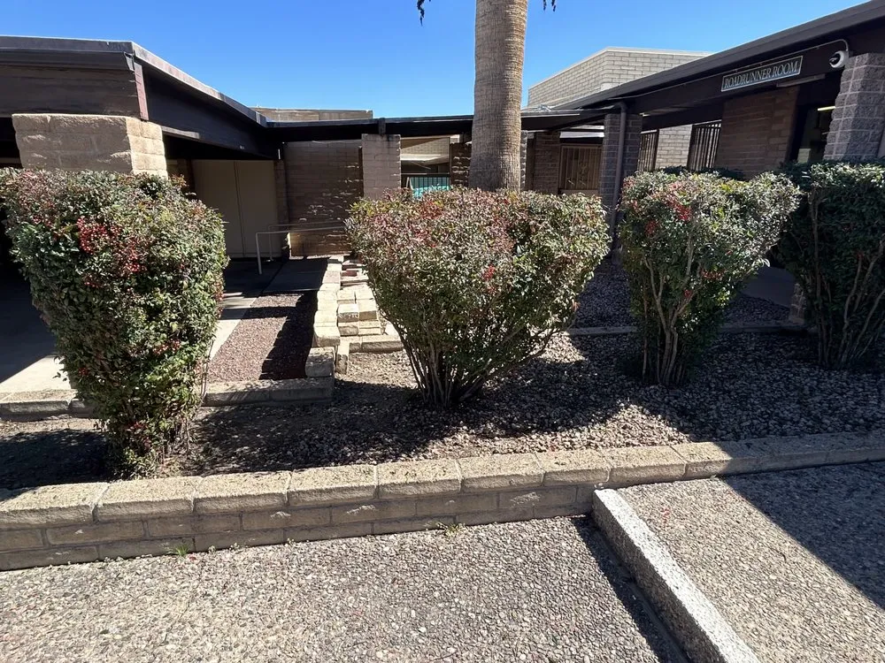 Reliable lawn mowing service for year-round maintenance across Tucson, AZ - Son Dove Landscaping