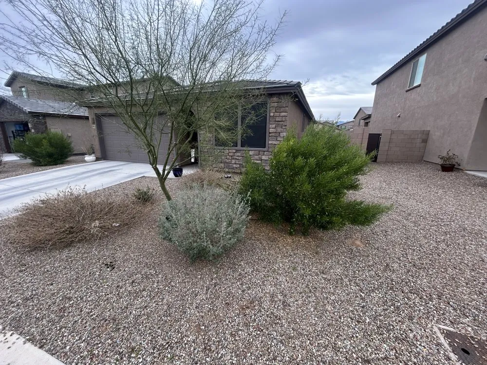 Reliable lawn care service for residential properties across Tucson, AZ - Son Dove Landscaping
