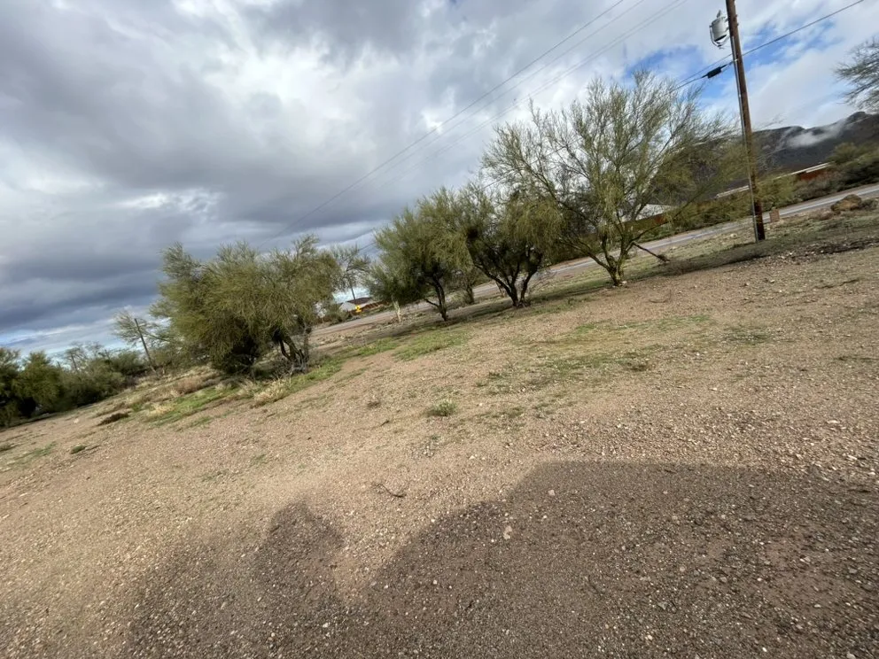 Professional landscape installation in Tucson, AZ - Son Dove Landscaping