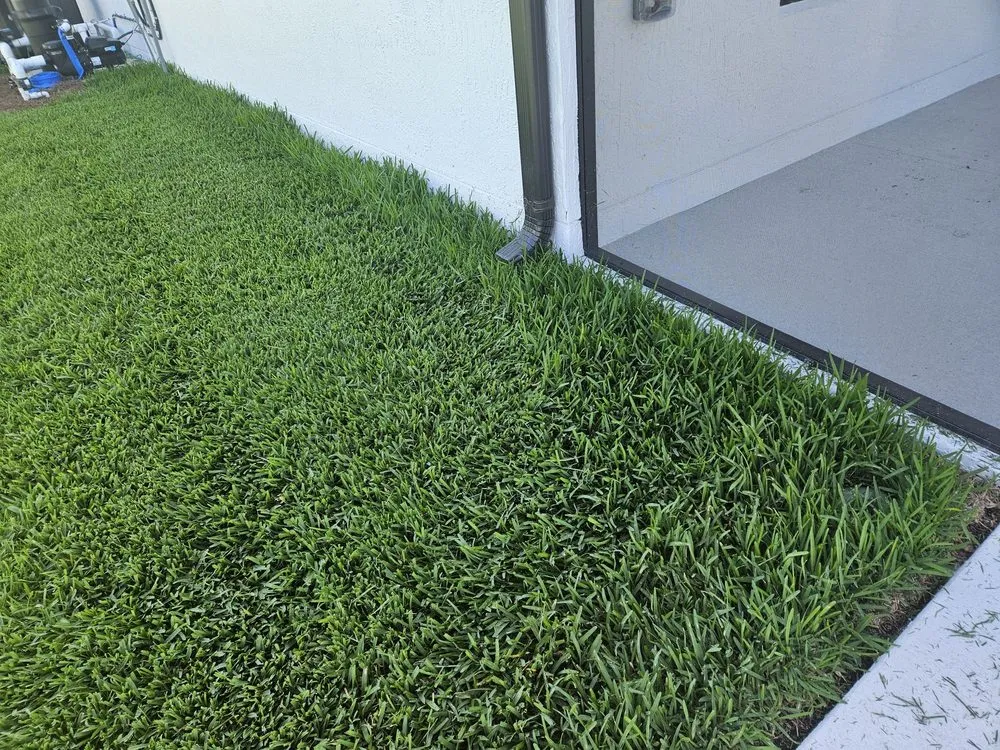 Reliable yard cleanup service with custom design across Wildwood, FL - Son Life Lawn and Landscaping