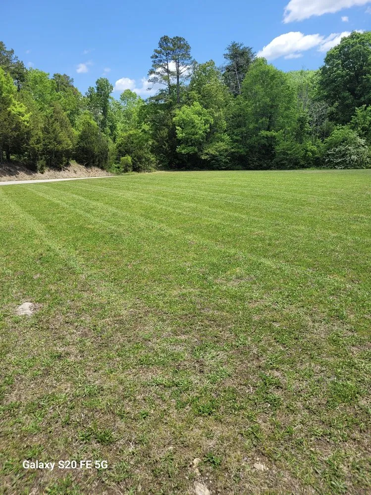Affordable yard maintenance for year-round maintenance across Ten Mile, TN - Son Rise Lawn Care
