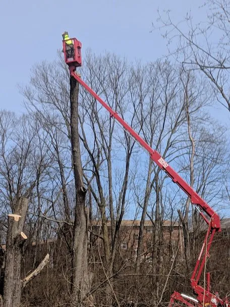 Trusted residential landscaping in Oxford, OH by Songbird Environmental