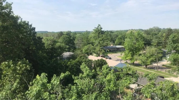 Local landscaping services with custom design in Oxford, OH by Songbird Environmental