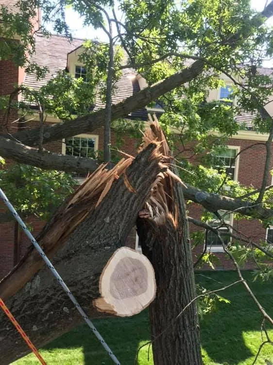 Professional landscaping services experts serving Oxford, OH - Songbird Environmental