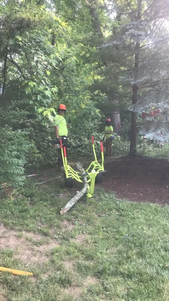 Reliable landscape installation with custom design across Oxford, OH - Songbird Environmental