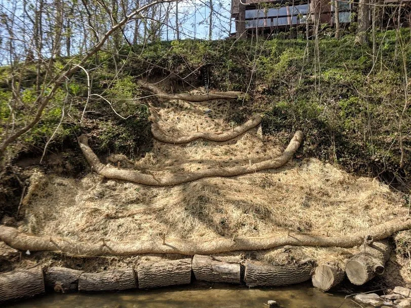 Top-rated landscaping services for year-round maintenance across Oxford, OH - Songbird Environmental