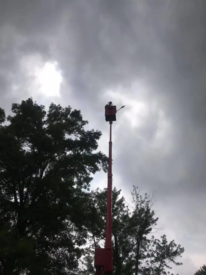 Reliable yard maintenance near you across Oxford, OH - Songbird Environmental