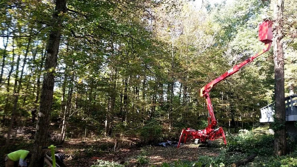 Custom landscaping services for outdoor upgrades in Oxford, OH by Songbird Environmental