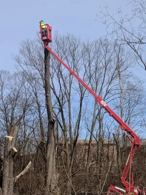 Songbird Environmental