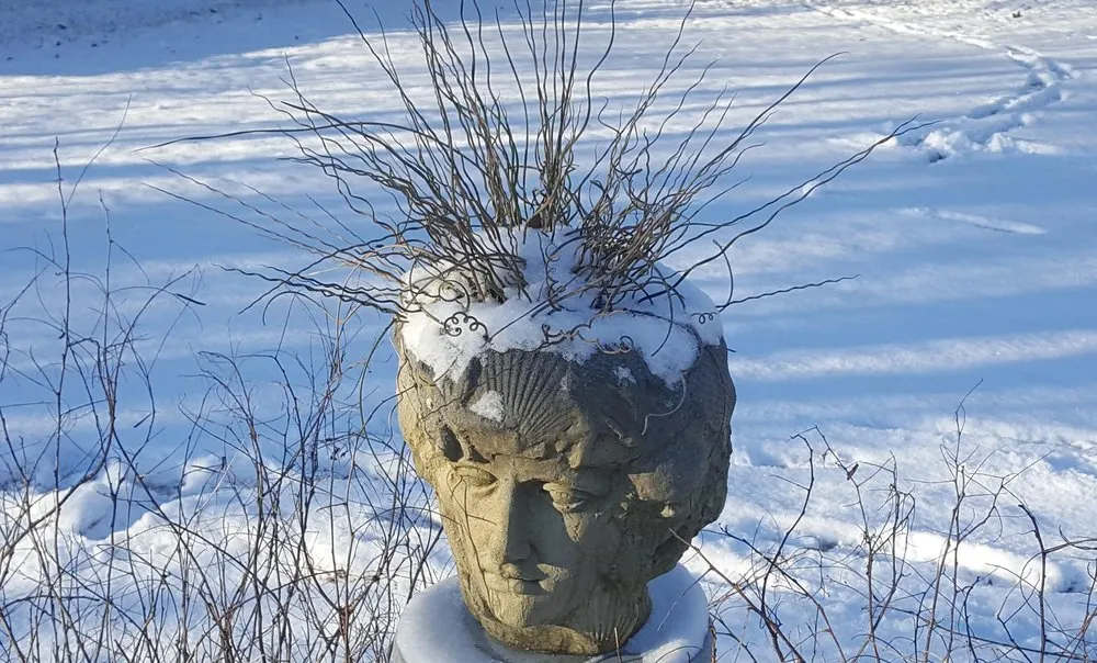 Custom yard cleanup service in Stockbridge, GA by Songbird Landcare