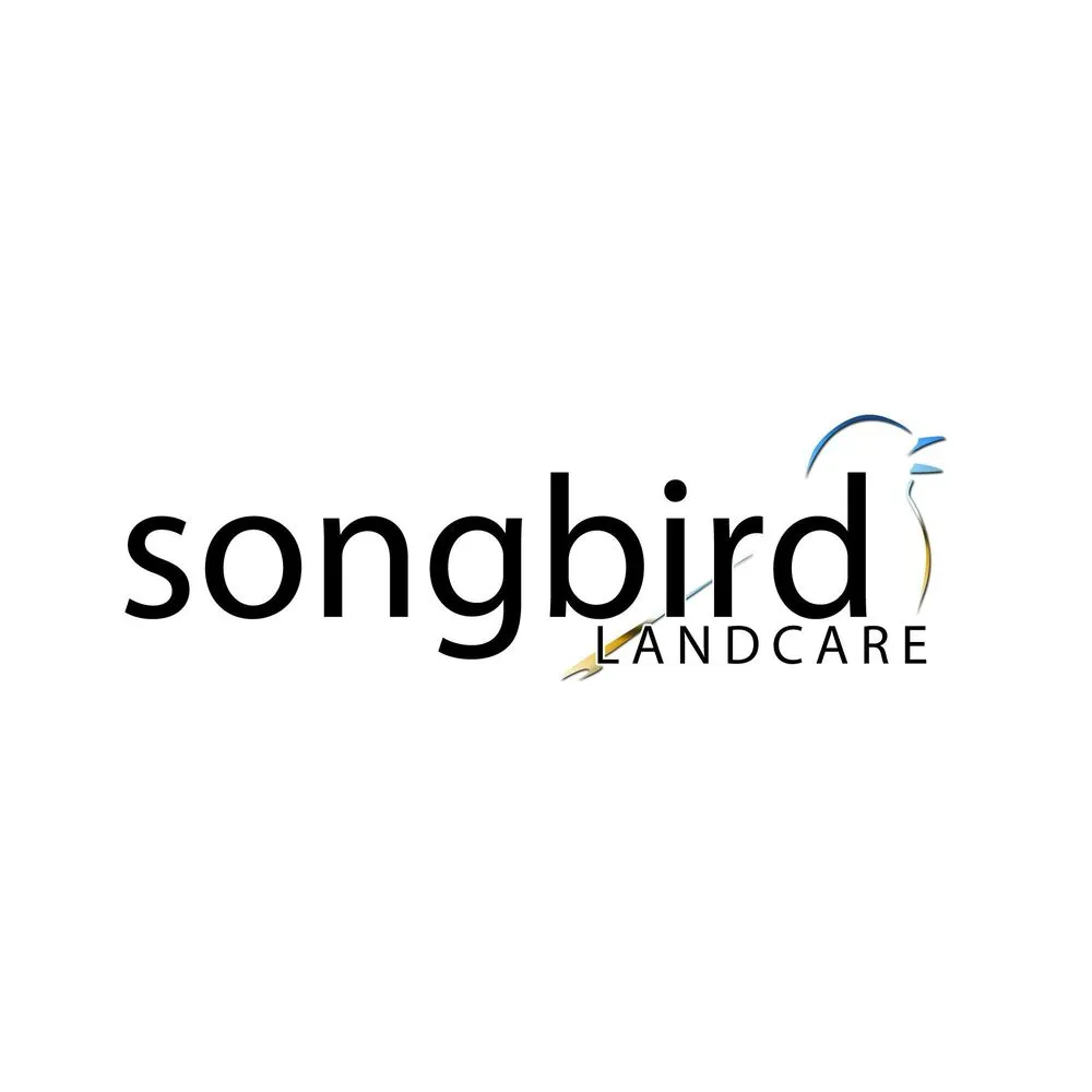 Expert lawn mowing service in Stockbridge, GA - Songbird Landcare