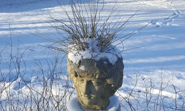 Songbird Landcare Logo