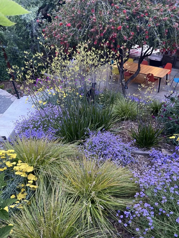 Top-rated yard cleanup service in Oakland, CA by Sonia Hildebrand Garden Designs