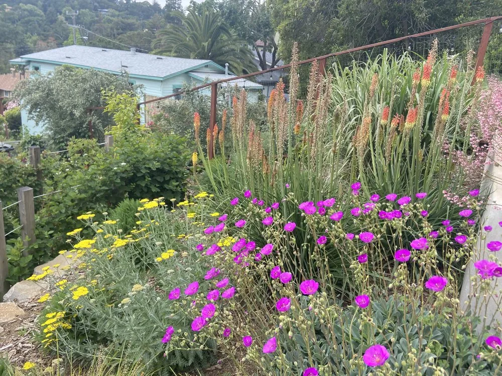 Trusted garden landscaping in Oakland, CA - Sonia Hildebrand Garden Designs