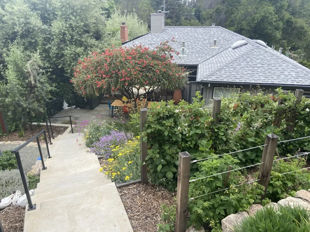 Professional lawn care service for outdoor upgrades across Oakland, CA - Sonia Hildebrand Garden Designs