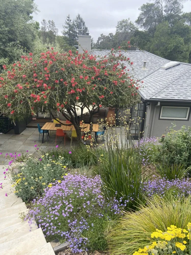 Top-rated residential landscaping near you in Oakland, CA by Sonia Hildebrand Garden Designs