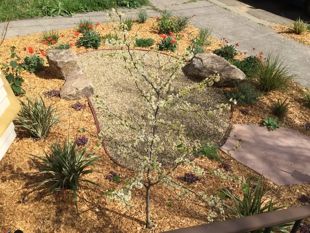 Trusted landscape installation in Oakland, CA by Sonia Hildebrand Garden Designs