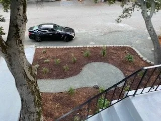 Trusted lawn care service for year-round maintenance in Oakland, CA by Sonia Hildebrand Garden Designs