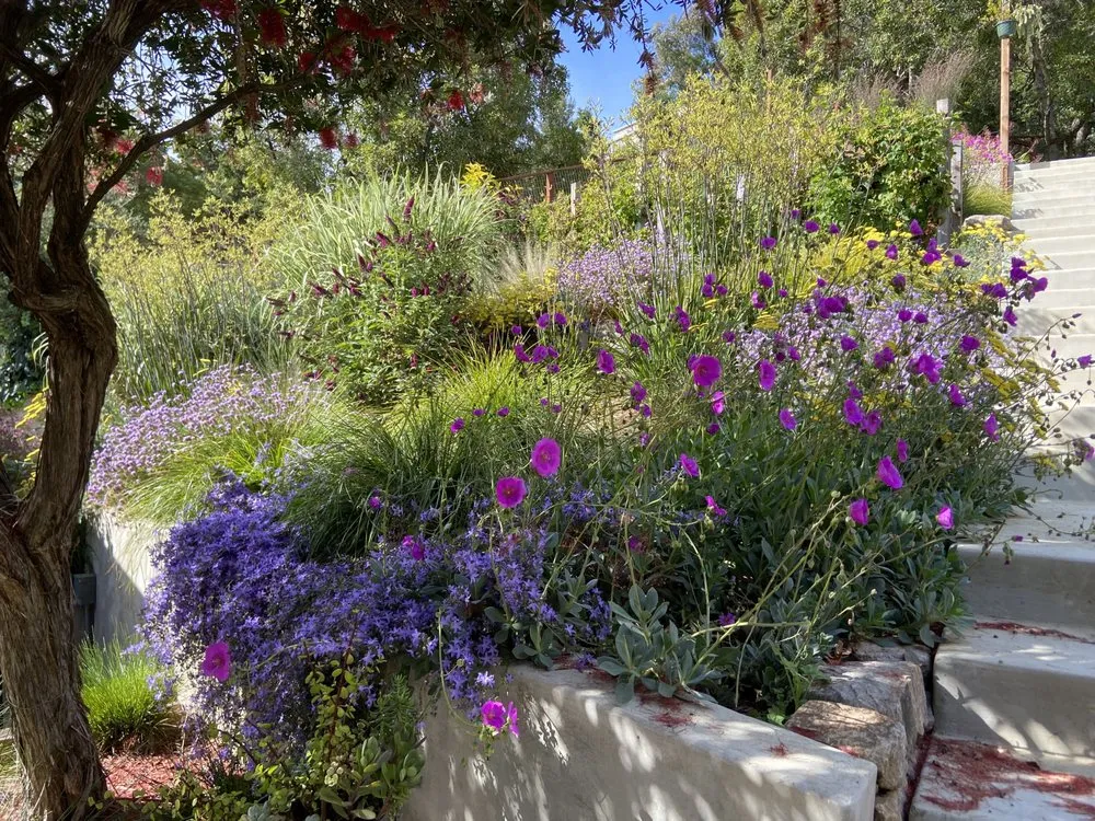 Custom residential landscaping in Oakland, CA by Sonia Hildebrand Garden Designs