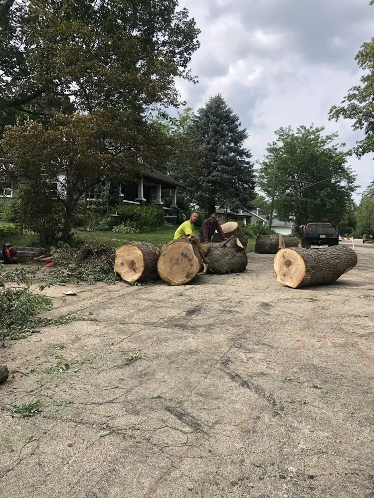 Top-rated yard cleanup service for year-round maintenance in Evansville, WI by Sonland