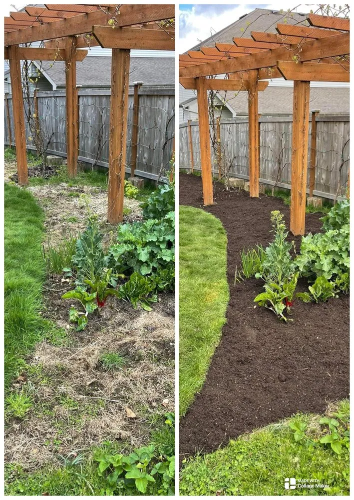 Affordable landscape design for year-round maintenance across Arlington, WA - Sonnies Lawn Maintenance