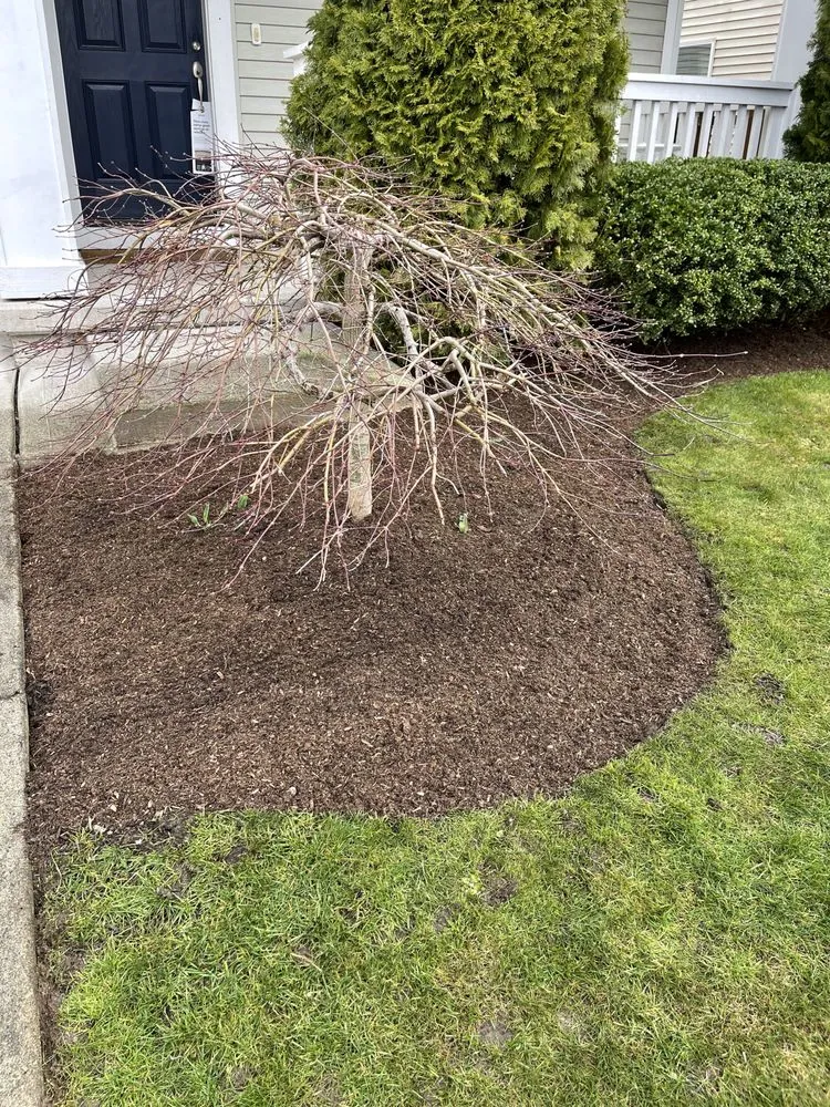 Local lawn care service experts serving Arlington, WA - Sonnies Lawn Maintenance