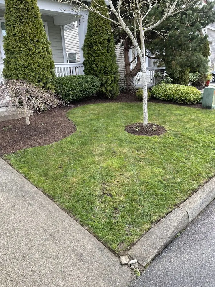 Expert lawn mowing service with custom design in Arlington, WA by Sonnies Lawn Maintenance