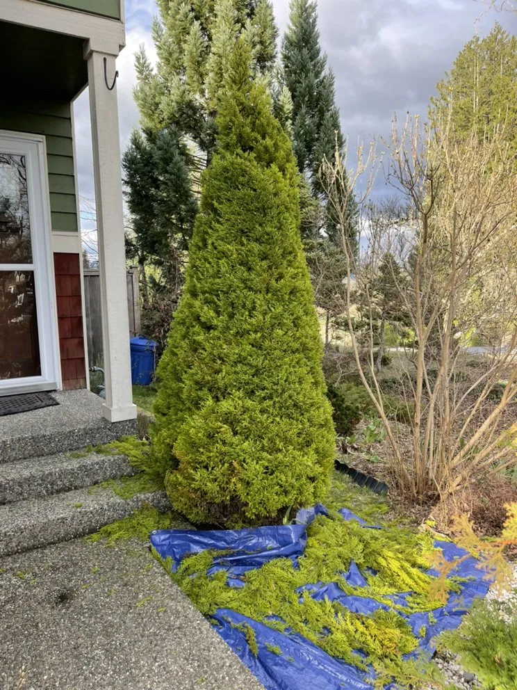 Expert lawn mowing service with custom design across Arlington, WA - Sonnies Lawn Maintenance