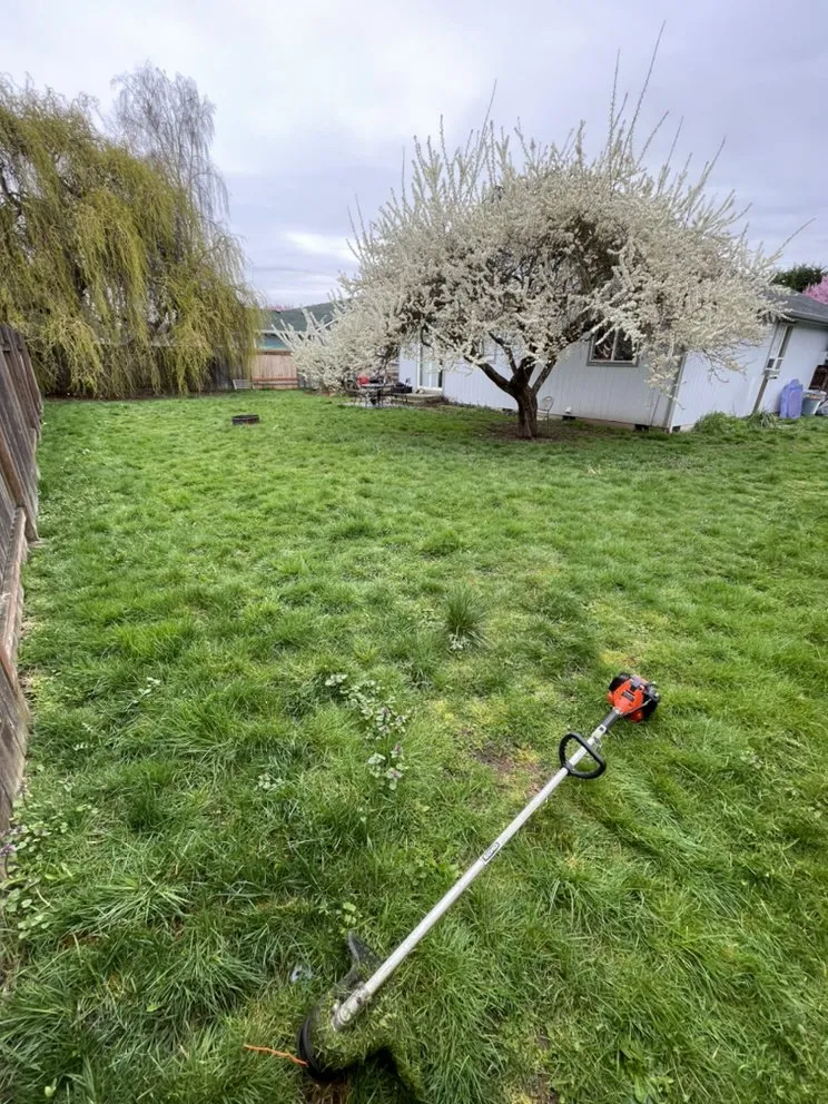 Professional yard maintenance experts serving Arlington, WA - Sonnies Lawn Maintenance