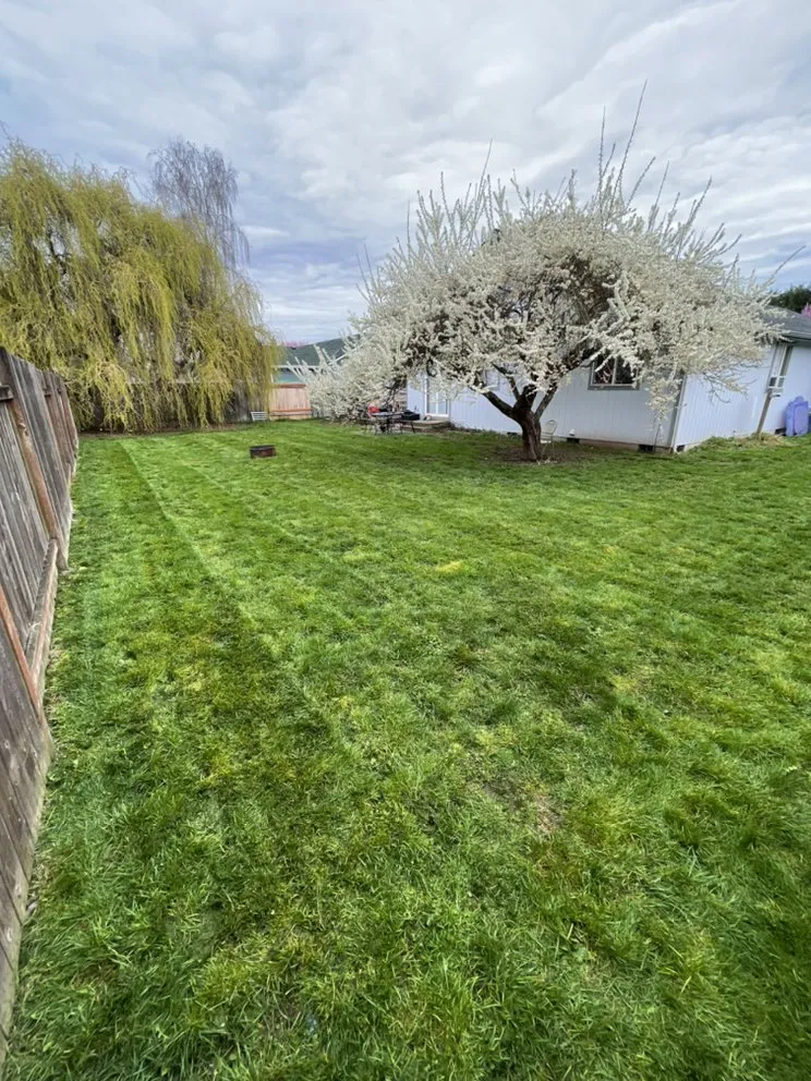 Reliable garden landscaping with custom design across Arlington, WA - Sonnies Lawn Maintenance