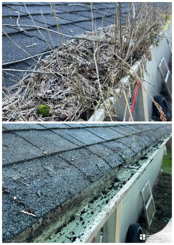 Expert landscape design in Arlington, WA - Sonnies Lawn Maintenance