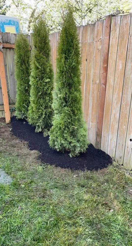 Affordable yard maintenance in Arlington, WA by Sonnies Lawn Maintenance