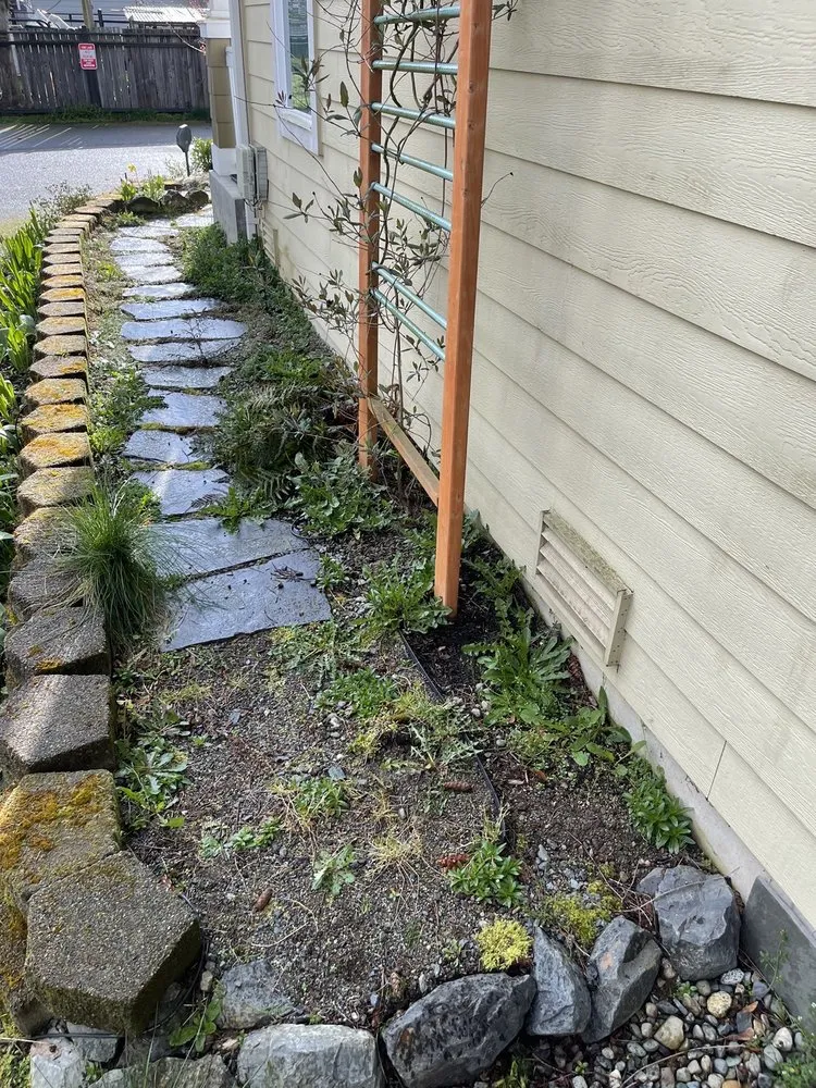 Professional yard cleanup service near you in Arlington, WA by Sonnies Lawn Maintenance