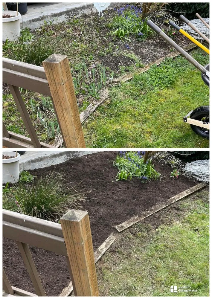 Affordable lawn mowing service experts serving Arlington, WA - Sonnies Lawn Maintenance