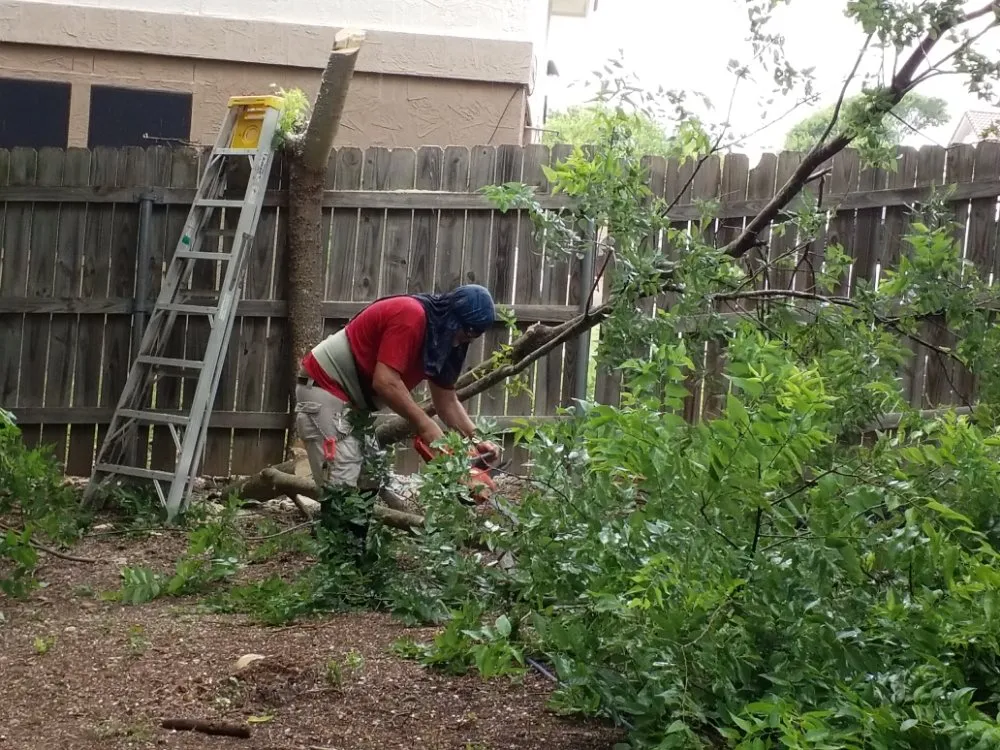 Top-rated yard maintenance for outdoor upgrades across San Antonio, TX - Sonny's Son Handyman Service