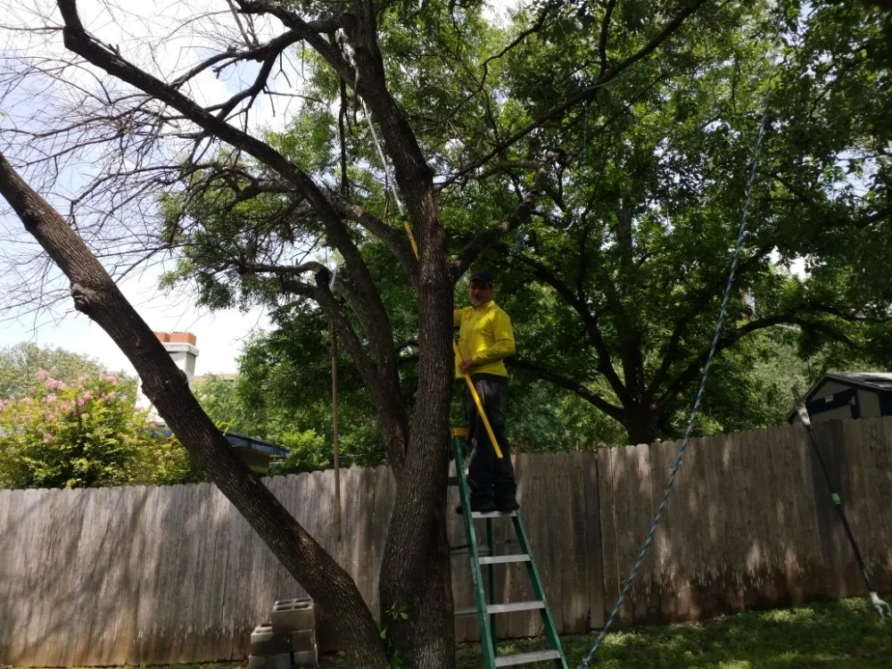 Professional landscaping services experts serving San Antonio, TX - Sonny's Son Handyman Service