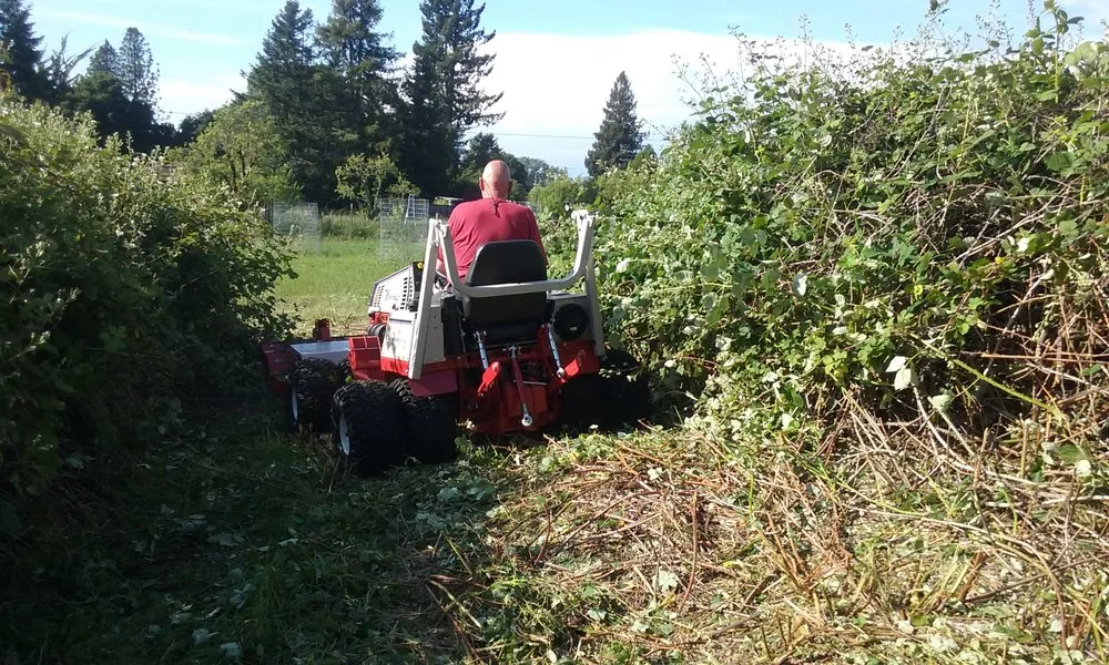 Local landscape design experts serving Santa Rosa, CA - Sonoma County Mowing & Tractor Services