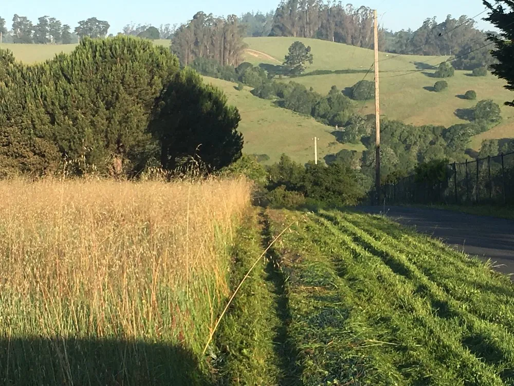 Top-rated landscape installation for beautiful yards in Santa Rosa, CA by Sonoma County Mowing & Tractor Services
