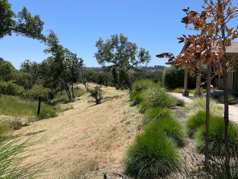 Reliable yard cleanup service for homes across Santa Rosa, CA - Sonoma County Mowing & Tractor Services