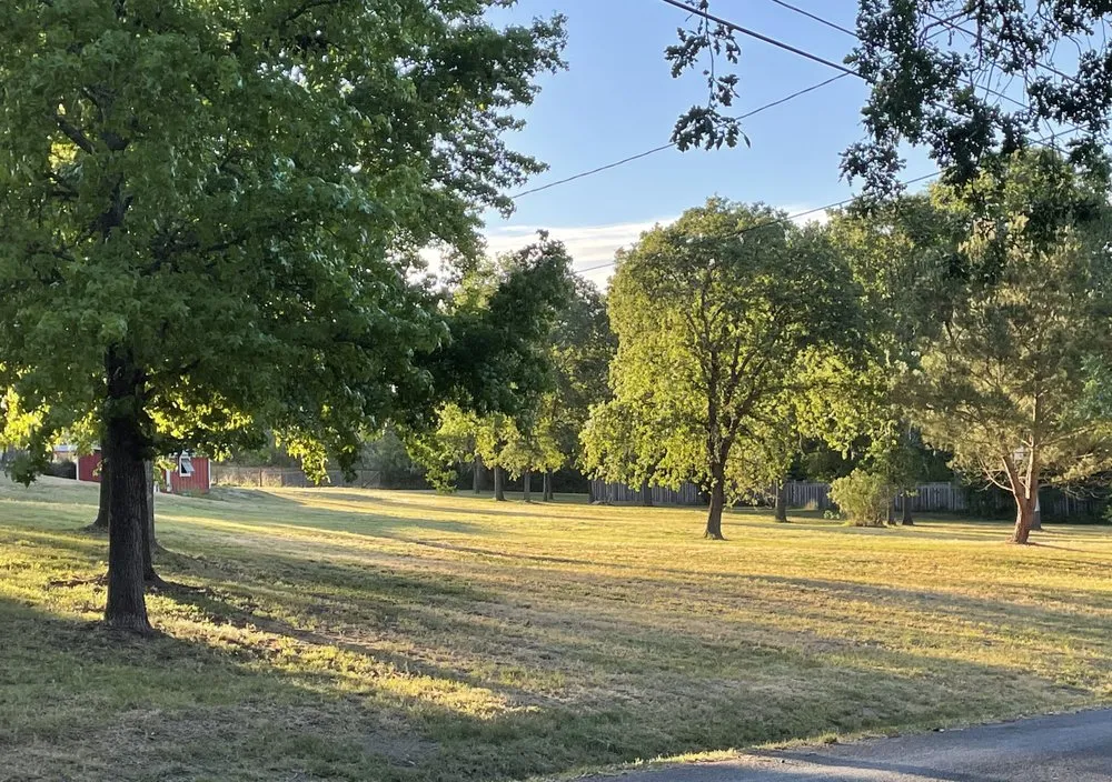 Expert landscape installation in Santa Rosa, CA by Sonoma County Mowing & Tractor Services