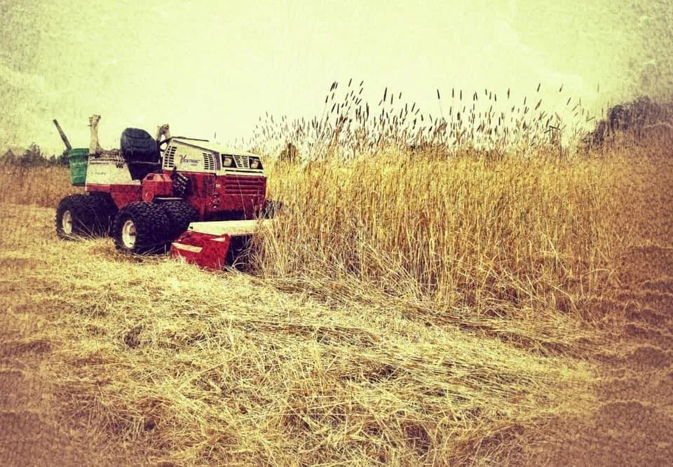 Affordable yard maintenance for homes across Santa Rosa, CA - Sonoma County Mowing & Tractor Services