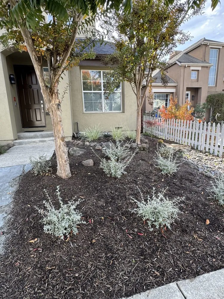 Expert residential landscaping experts serving Santa Rosa, CA - Sonoma Green Landscape
