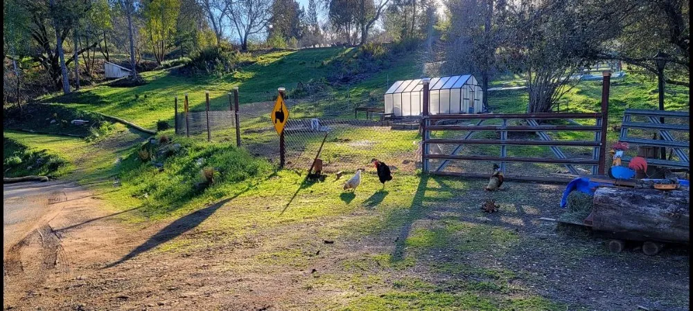 Affordable landscape design in Larkfield-Wikiup, CA - Sonoma Land Clearing