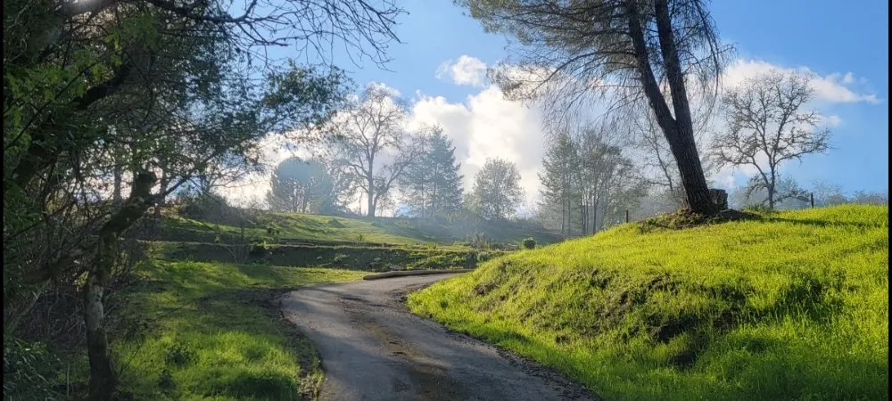 Expert residential landscaping experts serving Larkfield-Wikiup, CA - Sonoma Land Clearing