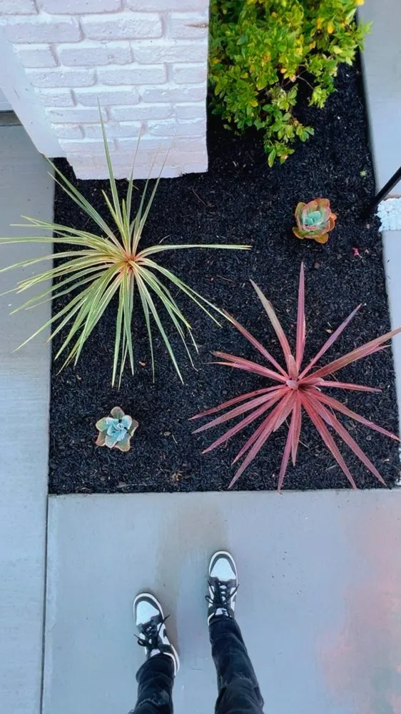 Local landscape design with custom design across Sonoma, CA - Sonoma Landscaping Construction