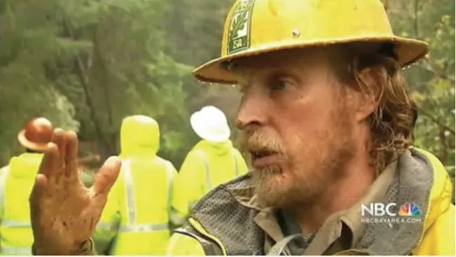 Professional outdoor landscaping in Petaluma, CA by Sonoma-Marin Arborists