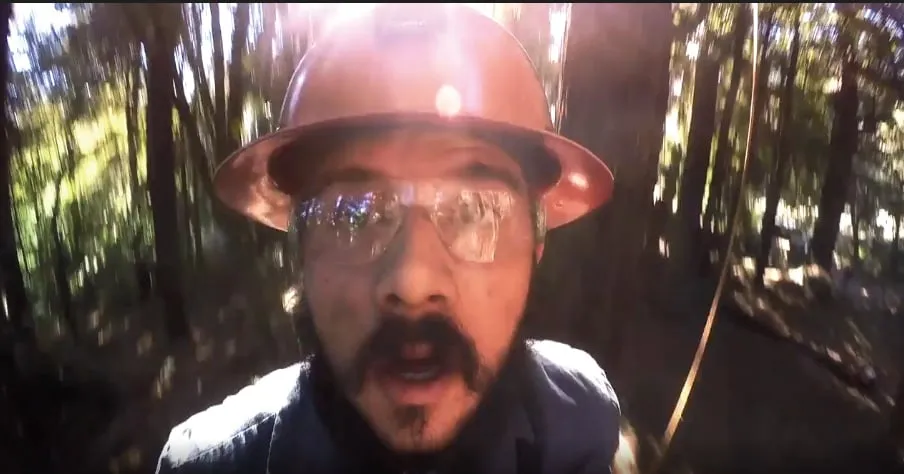 Local yard cleanup service near you across Petaluma, CA - Sonoma-Marin Arborists